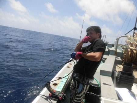 大進丸(愛知) 釣果