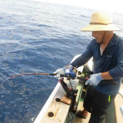 大進丸(愛知) 釣果