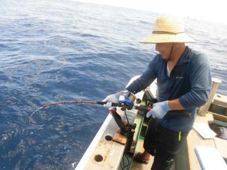 大進丸(愛知) 釣果