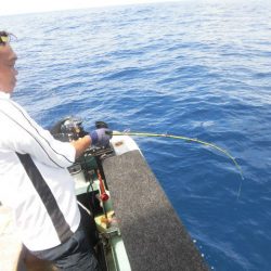 大進丸(愛知) 釣果