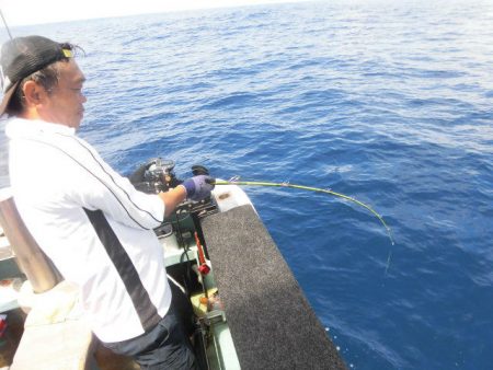 大進丸(愛知) 釣果