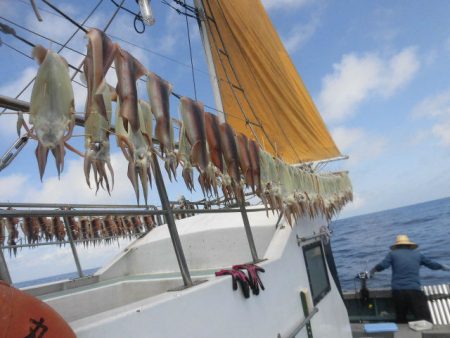 大進丸(愛知) 釣果