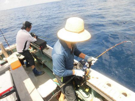大進丸(愛知) 釣果