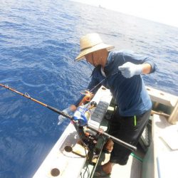 大進丸(愛知) 釣果