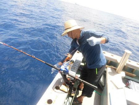 大進丸(愛知) 釣果