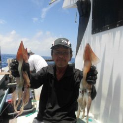 大進丸(愛知) 釣果