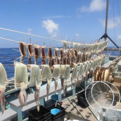 大進丸(愛知) 釣果