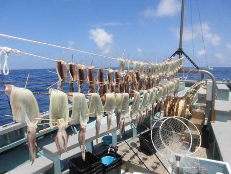 大進丸(愛知) 釣果