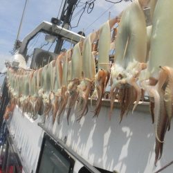 大進丸（愛知） 釣果