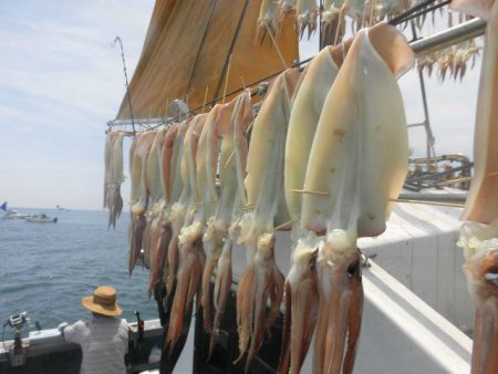 大進丸（愛知） 釣果