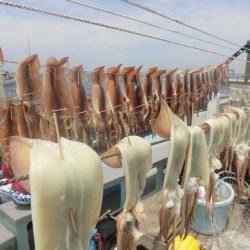 大進丸（愛知） 釣果