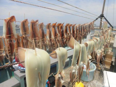 大進丸（愛知） 釣果