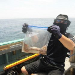 大進丸（愛知） 釣果