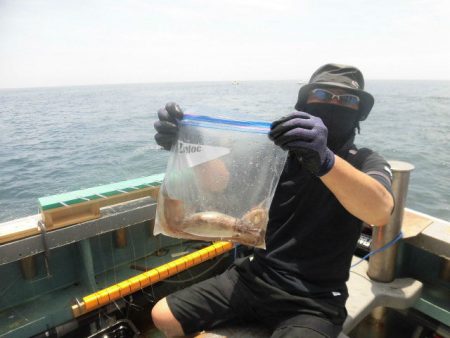 大進丸（愛知） 釣果