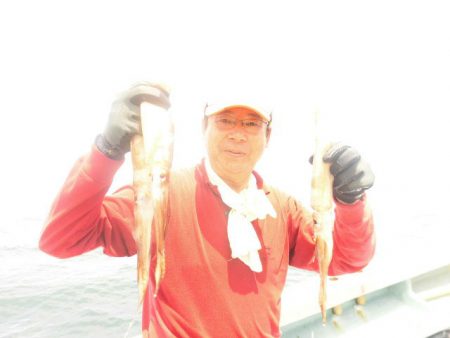 大進丸（愛知） 釣果