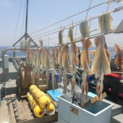 大進丸（愛知） 釣果