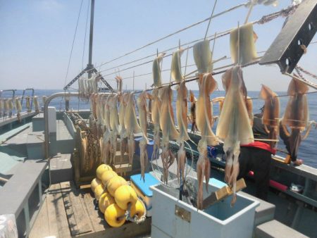 大進丸（愛知） 釣果