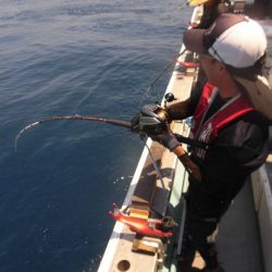 大進丸（愛知） 釣果