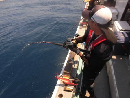 大進丸（愛知） 釣果