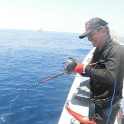 大進丸（愛知） 釣果