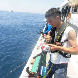 大進丸（愛知） 釣果