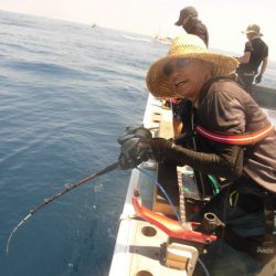 大進丸（愛知） 釣果