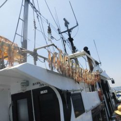 大進丸（愛知） 釣果