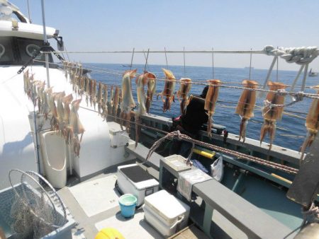 大進丸（愛知） 釣果