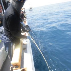 大進丸（愛知） 釣果