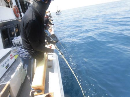 大進丸（愛知） 釣果