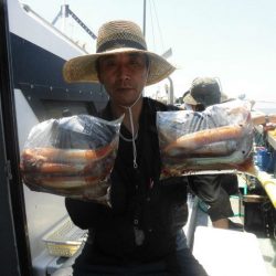 大進丸（愛知） 釣果