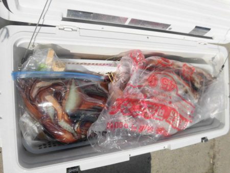 大進丸（愛知） 釣果