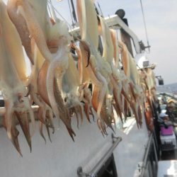 大進丸（愛知） 釣果