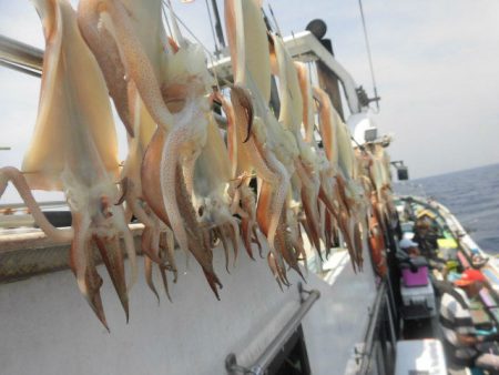 大進丸（愛知） 釣果