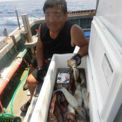 大進丸（愛知） 釣果