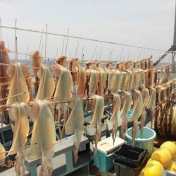 大進丸（愛知） 釣果