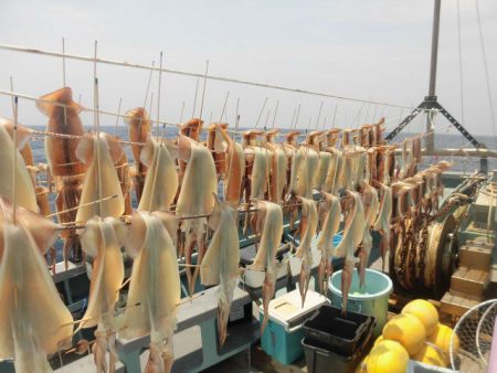 大進丸（愛知） 釣果