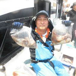 大進丸（愛知） 釣果