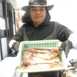 大進丸（愛知） 釣果