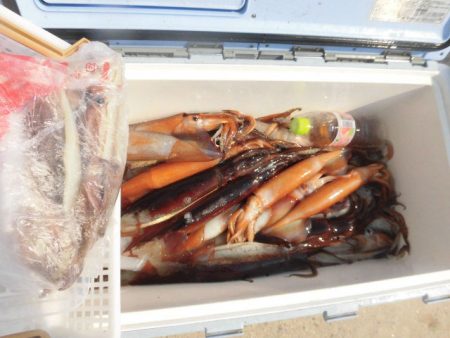 大進丸（愛知） 釣果