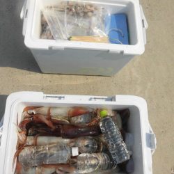 大進丸（愛知） 釣果