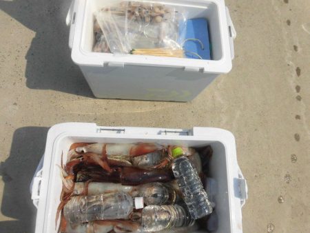 大進丸（愛知） 釣果