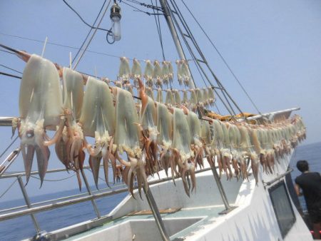 大進丸（愛知） 釣果