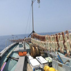 大進丸（愛知） 釣果