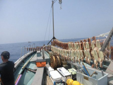 大進丸（愛知） 釣果