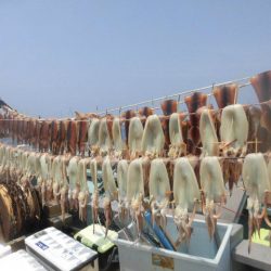 大進丸（愛知） 釣果