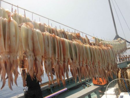 大進丸（愛知） 釣果