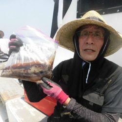 大進丸（愛知） 釣果