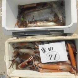 大進丸（愛知） 釣果