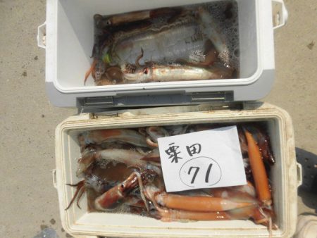 大進丸（愛知） 釣果